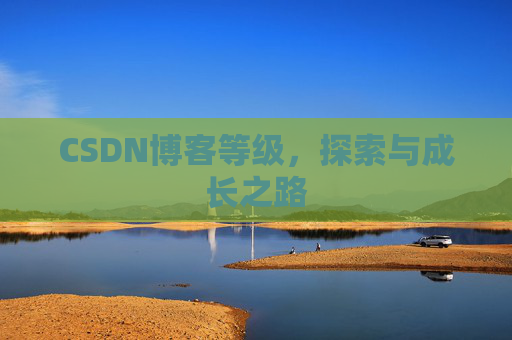 CSDN博客等级，探索与成长之路